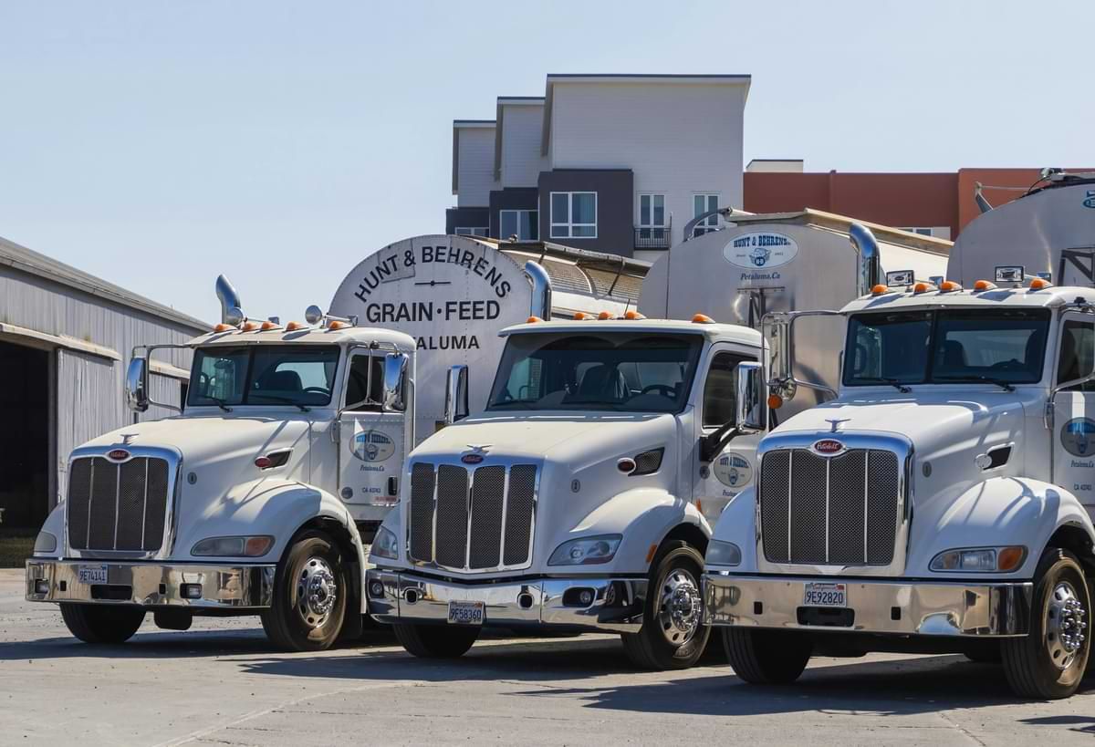 White trucks in a row